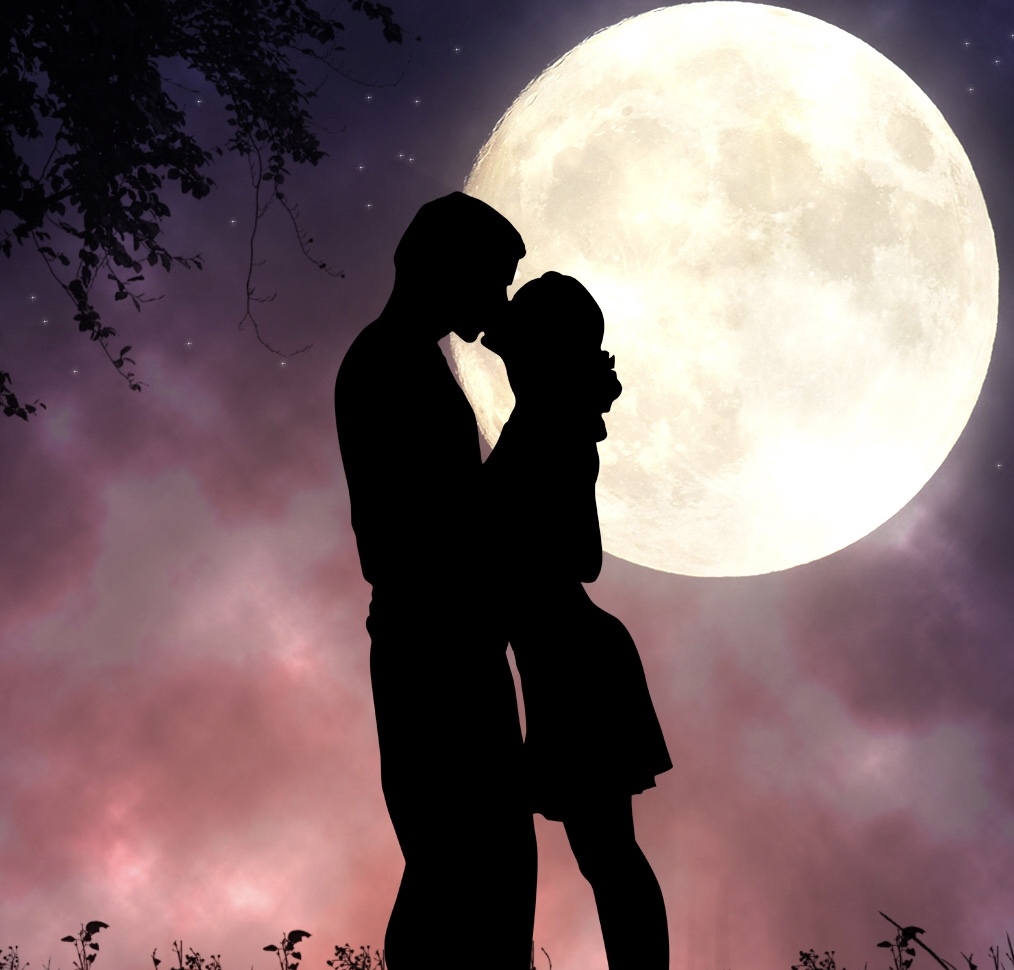 A Unique Romantic Experience with Dinner and Bosphorus View on Bosphorus Cruise 