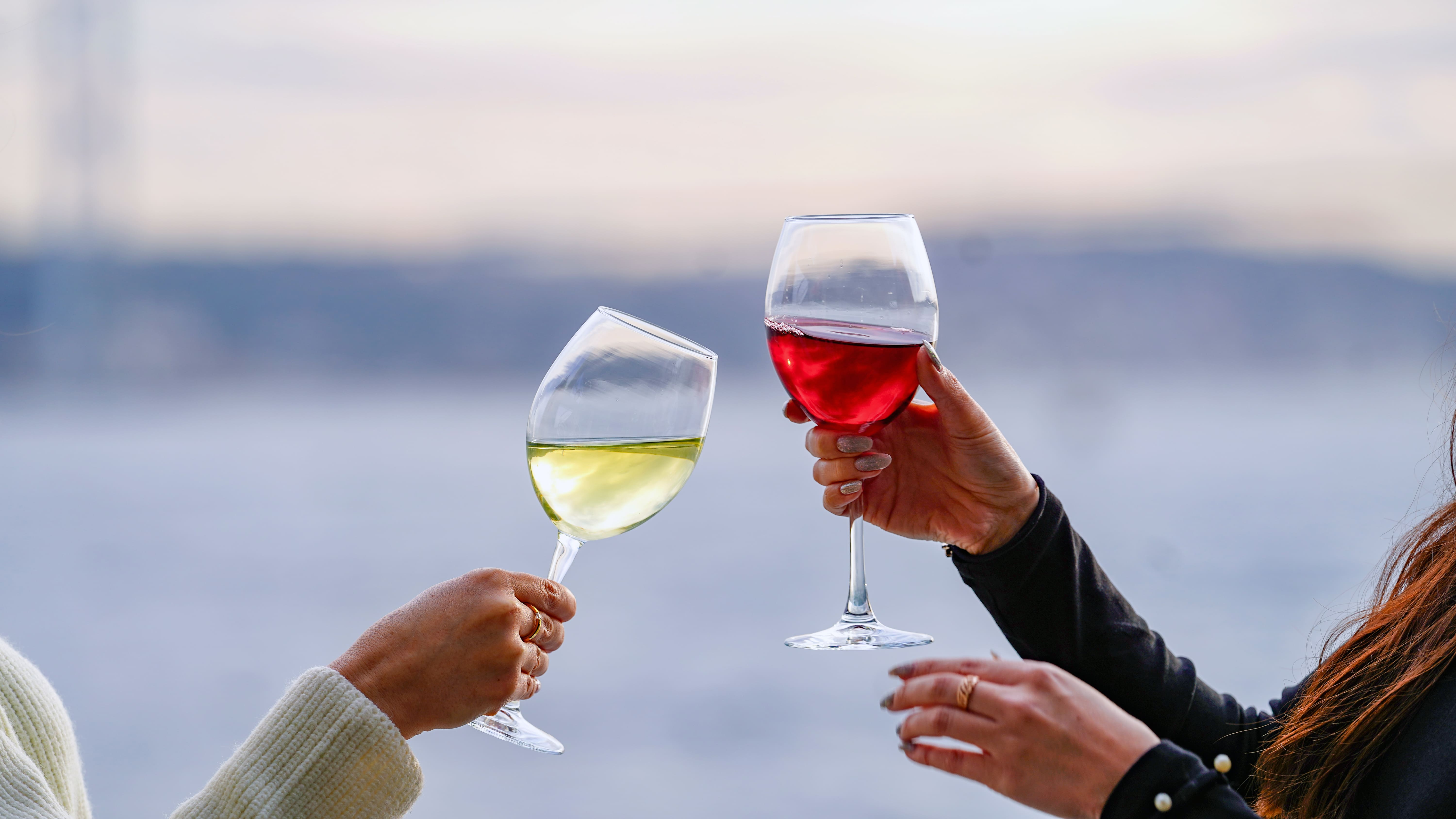 Lunch Cruise on the Bosphorus