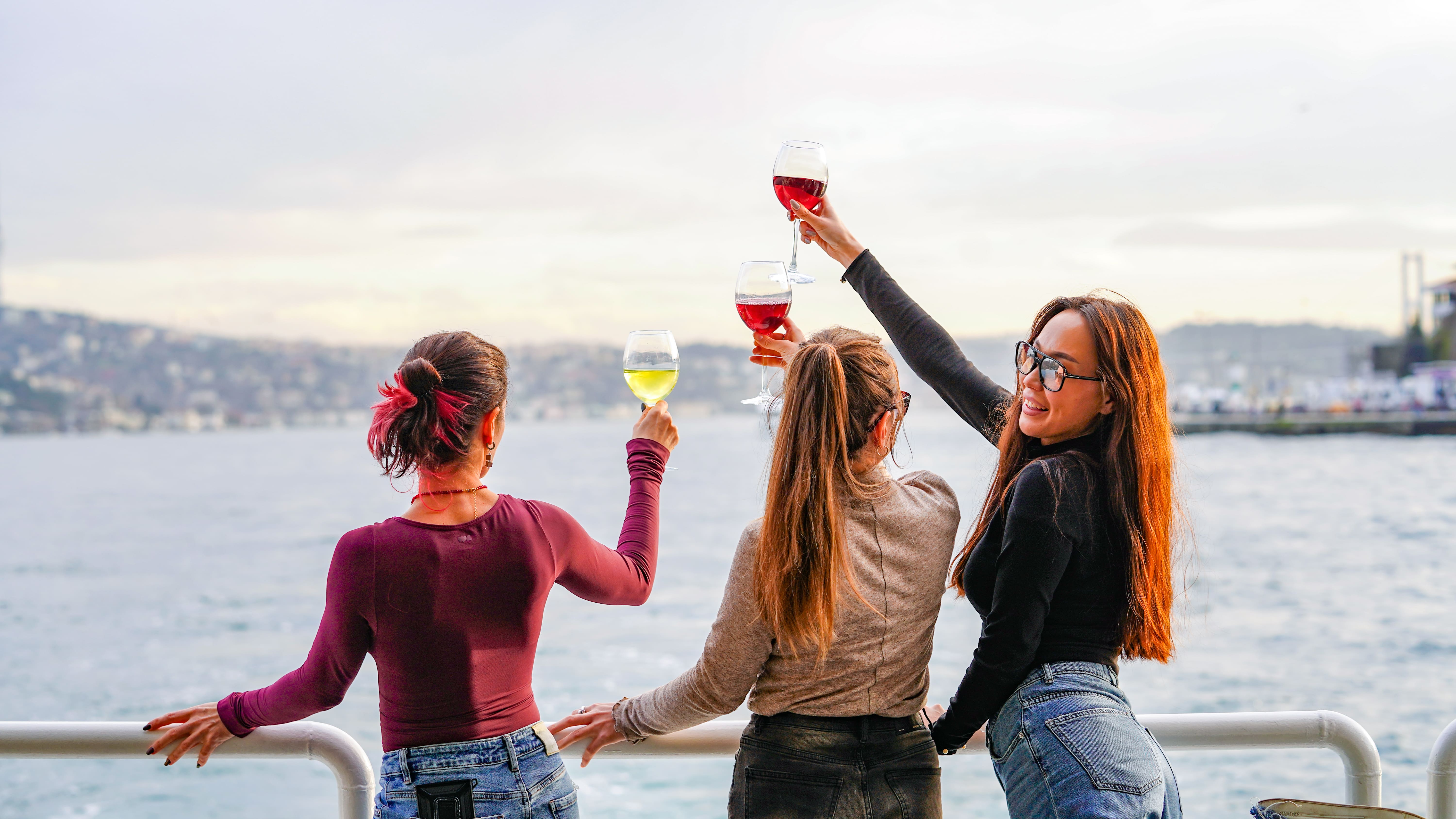 Lunch Cruise on the Bosphorus